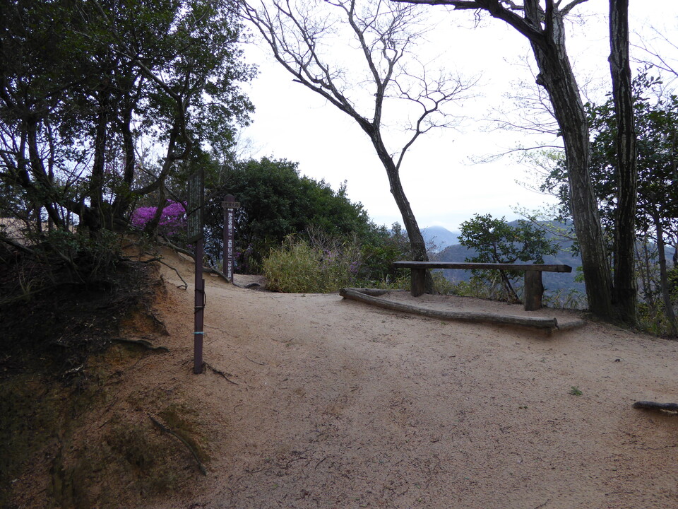 P1010016_mid.jpg