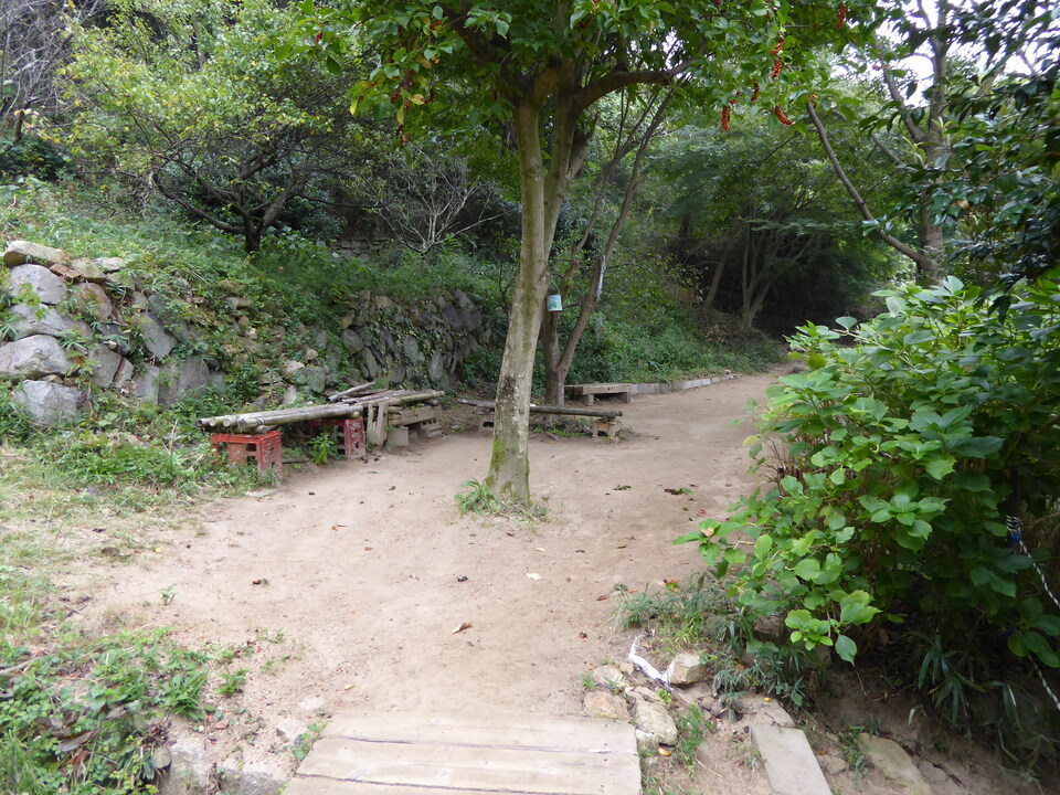P1040292_mid.jpg