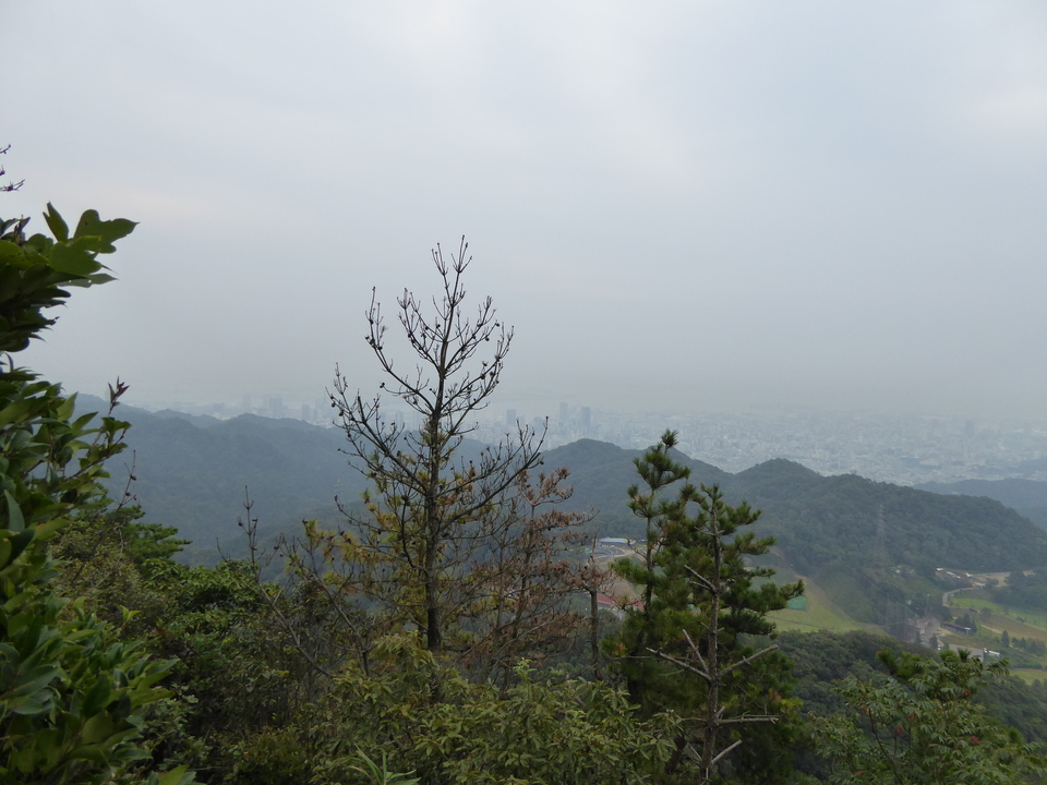 P1040297_mid.jpg