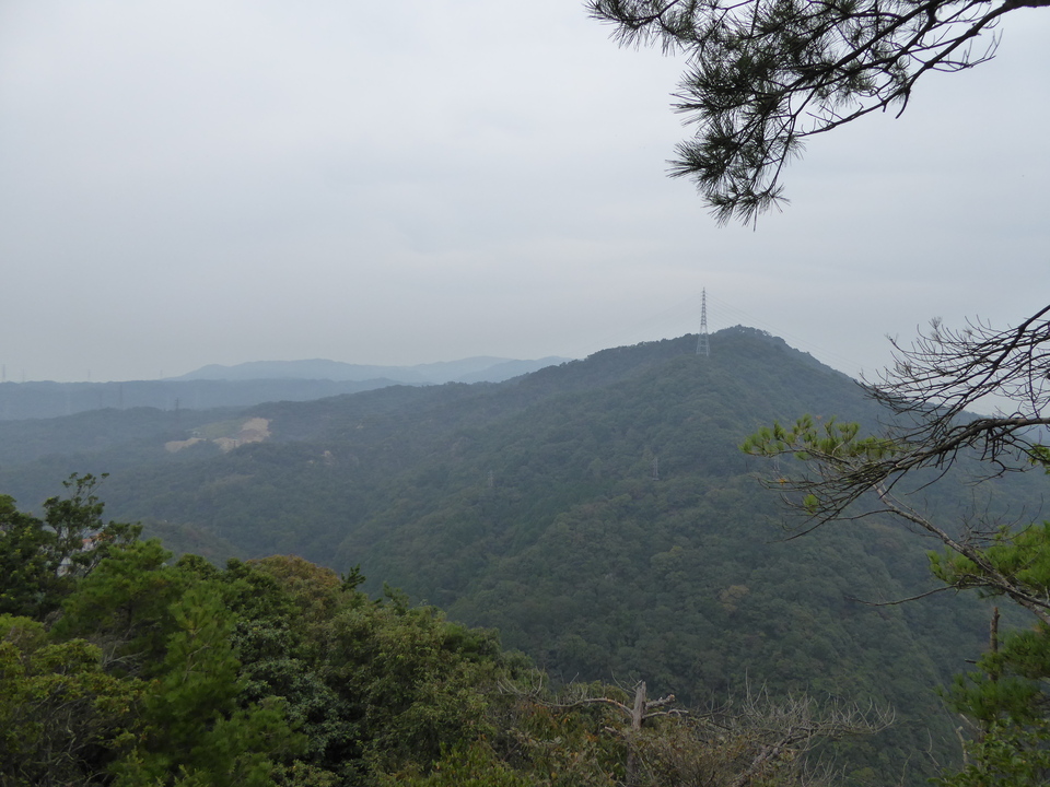P1040303_mid.jpg