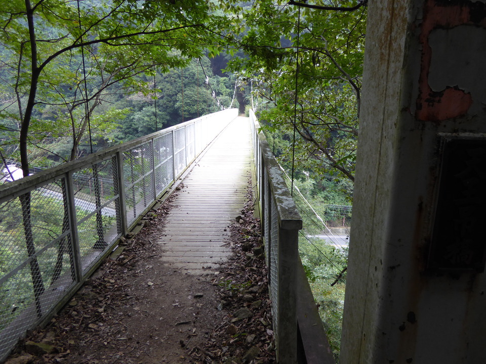 P1040305_mid.jpg