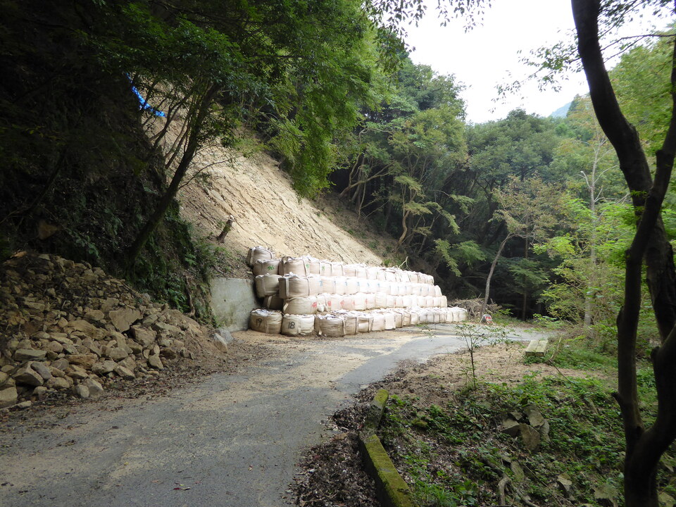 P1040309_mid.jpg