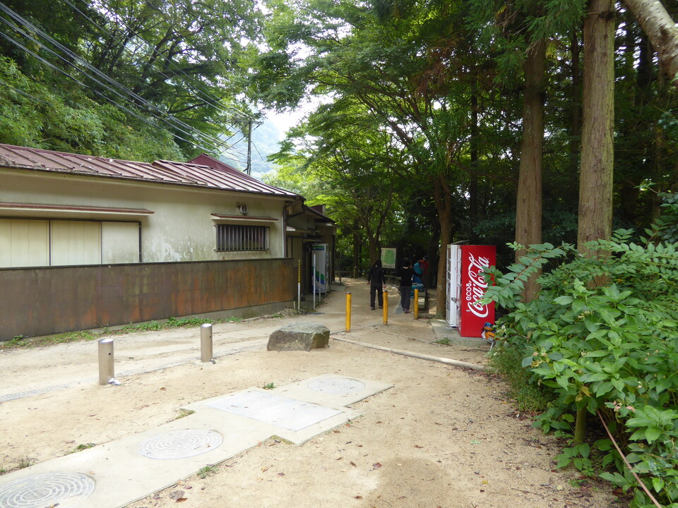 P1040316_mid.jpg