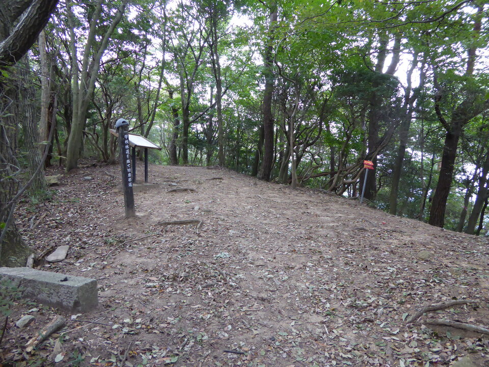 P1040318_mid.jpg