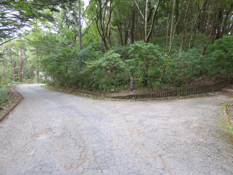 P1040325_mid.jpg