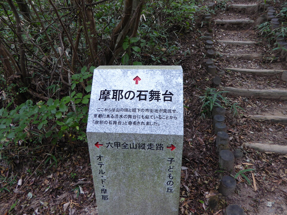 P1040338_mid.jpg
