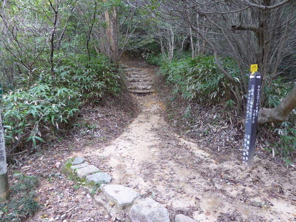 P1040343_mid.jpg