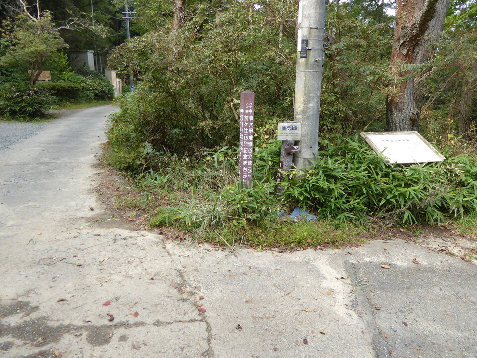 P1040353_mid.jpg
