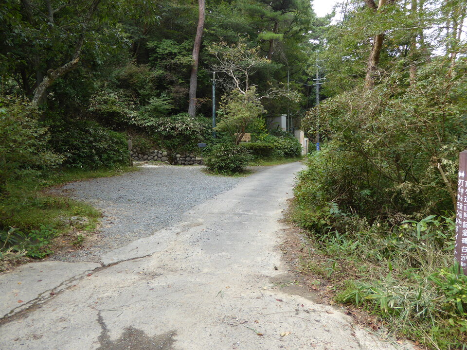 P1040354_mid.jpg