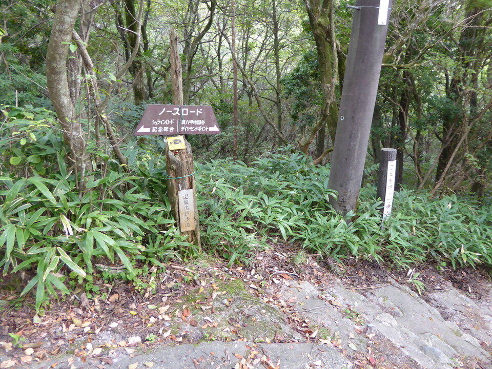 P1040357_mid.jpg