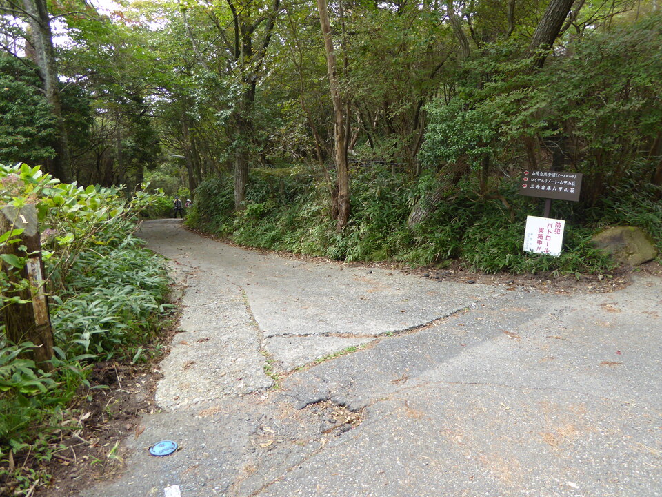 P1040361_mid.jpg