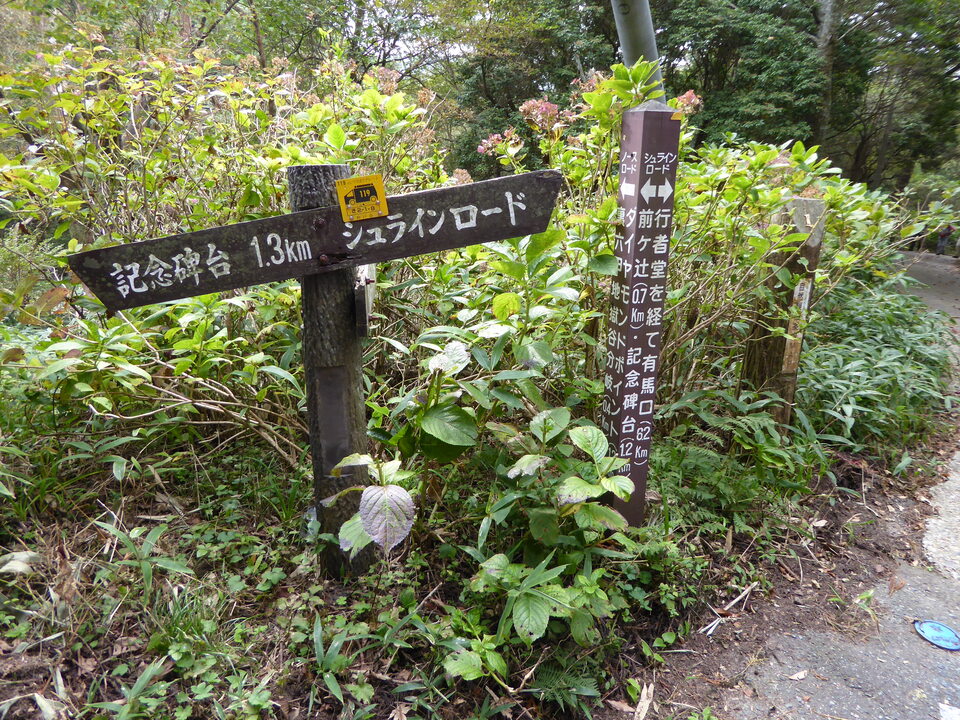 P1040362_mid.jpg