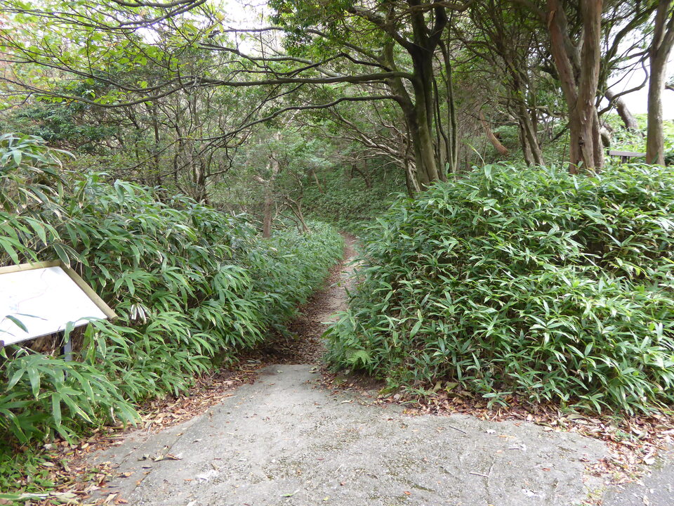 P1040364_mid.jpg