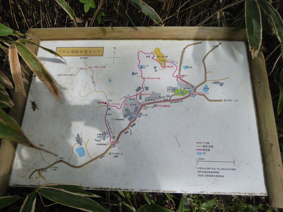 P1040366_mid.jpg