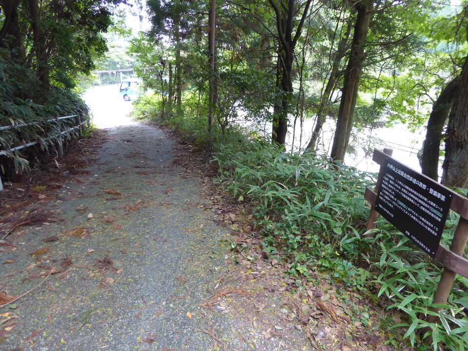 P1040368_mid.jpg