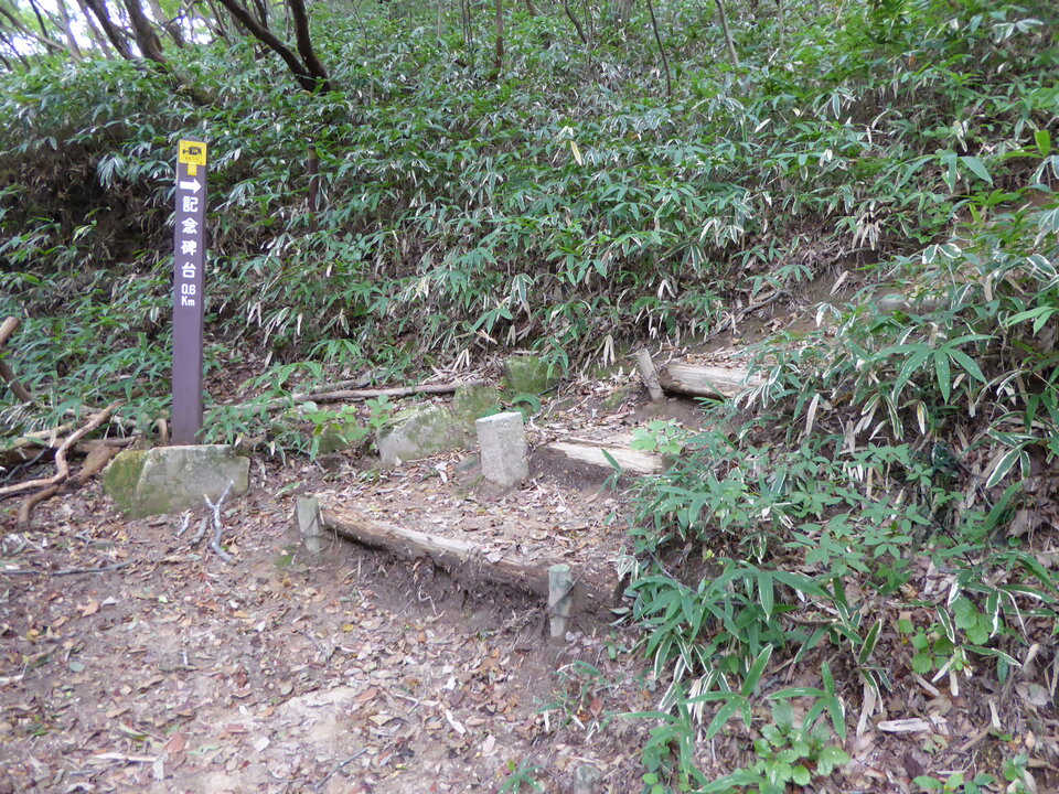 P1040373_mid.jpg