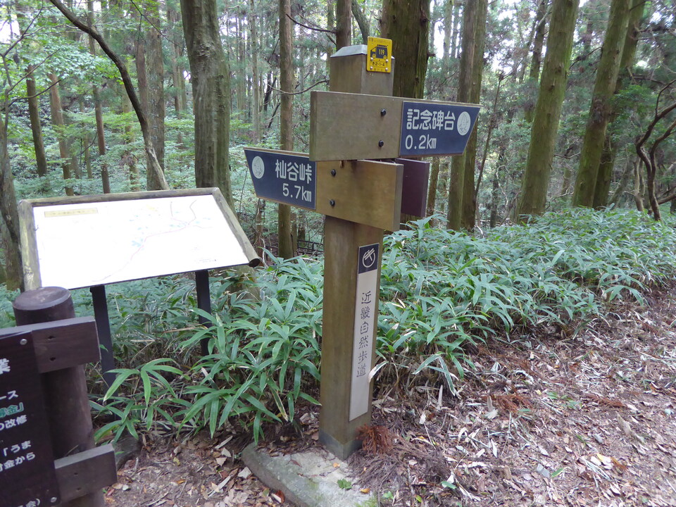 P1040378_mid.jpg