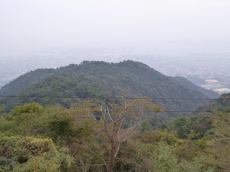P1040395_mid.jpg