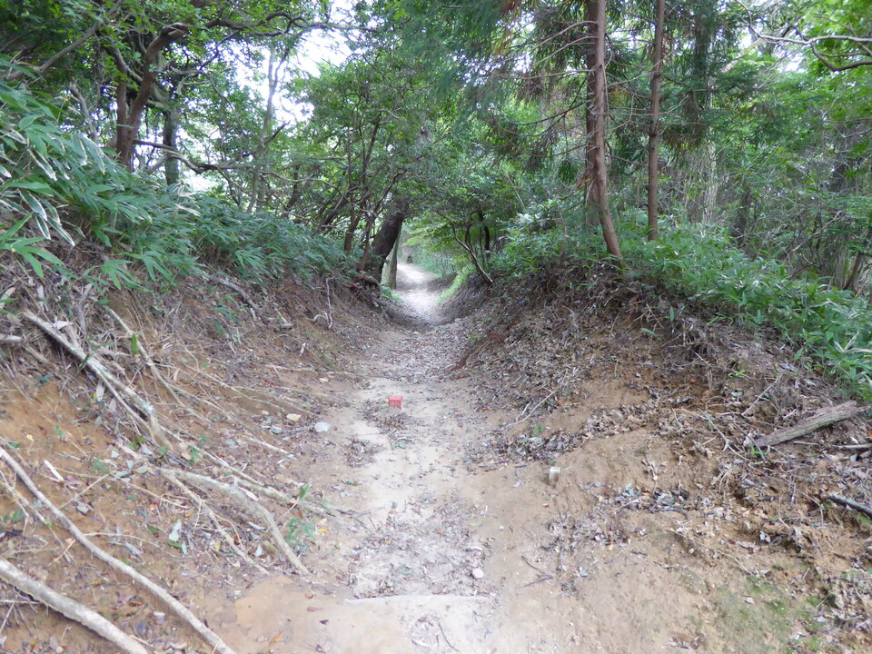 P1040408_mid.jpg