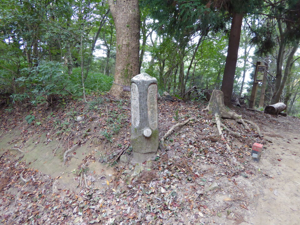 P1040411_mid.jpg