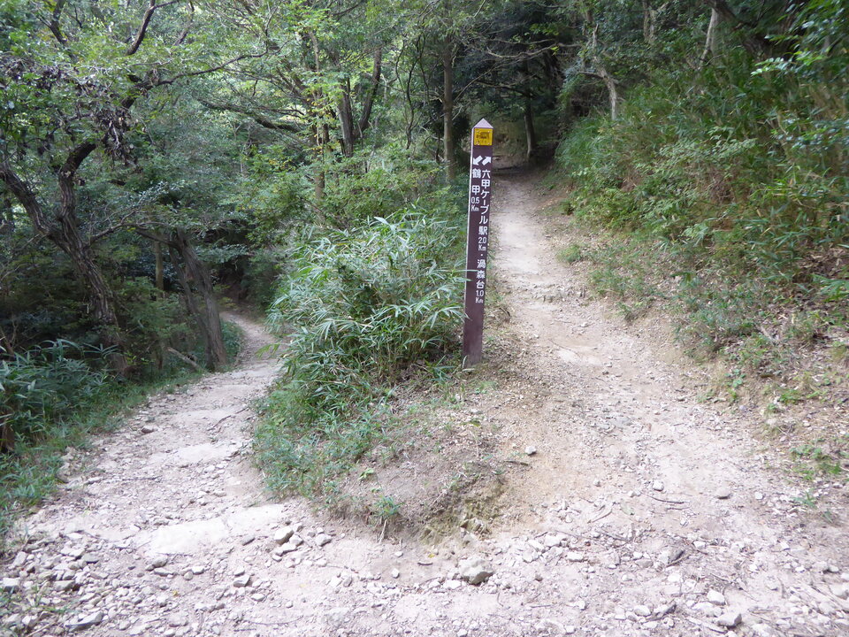 P1040419_mid.jpg