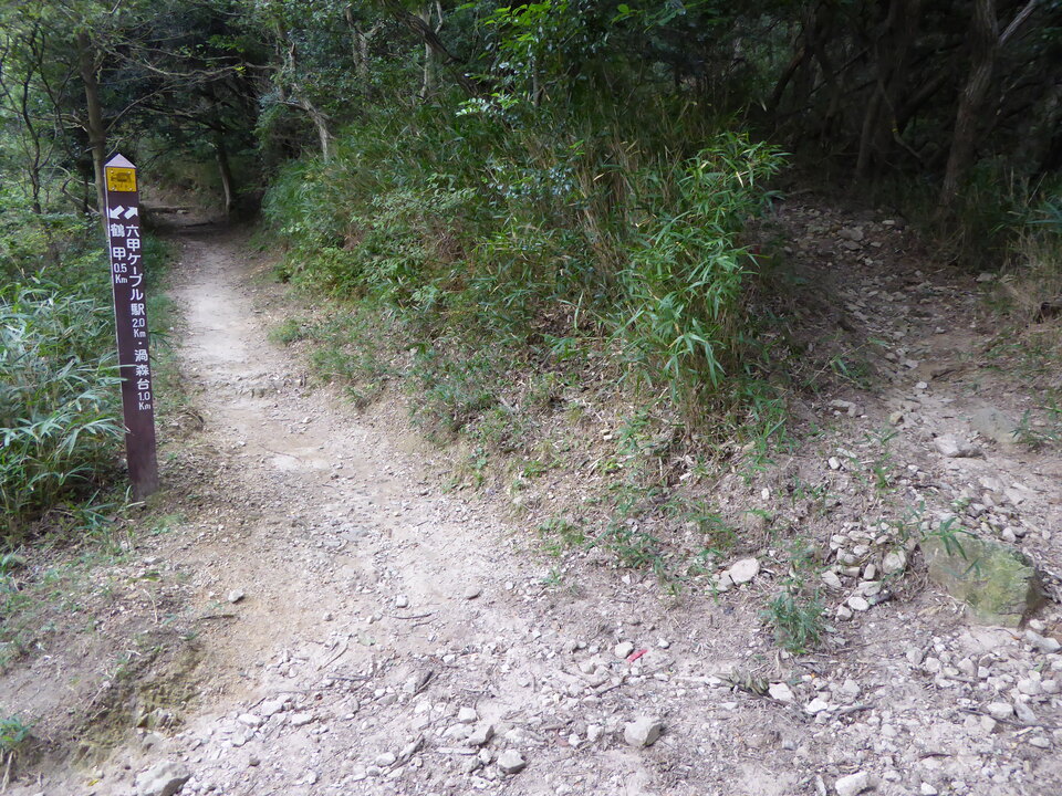 P1040420_mid.jpg