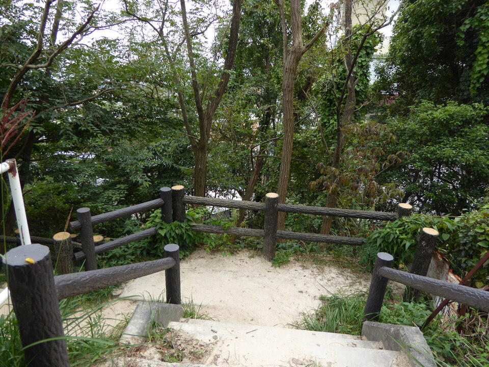P1040424_mid.jpg