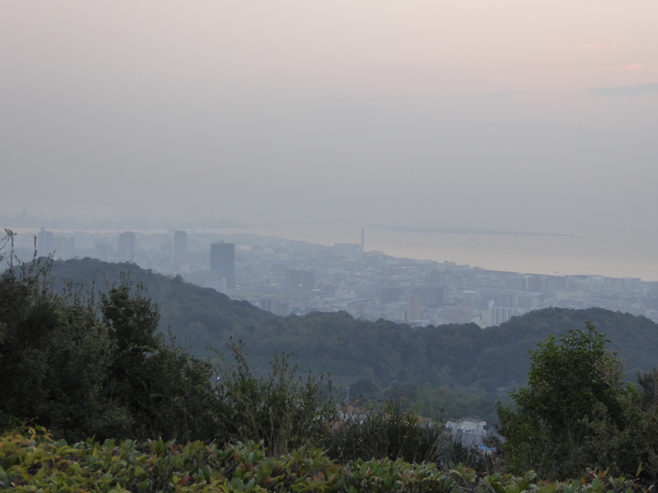 P1040611_mid.jpg