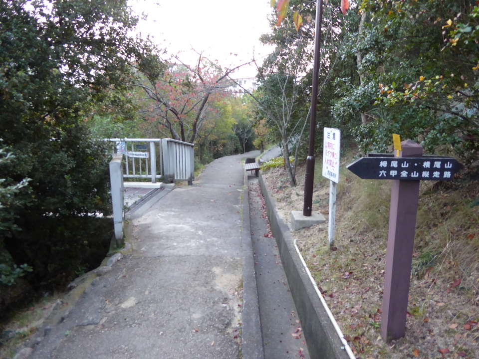 P1040613_mid.jpg