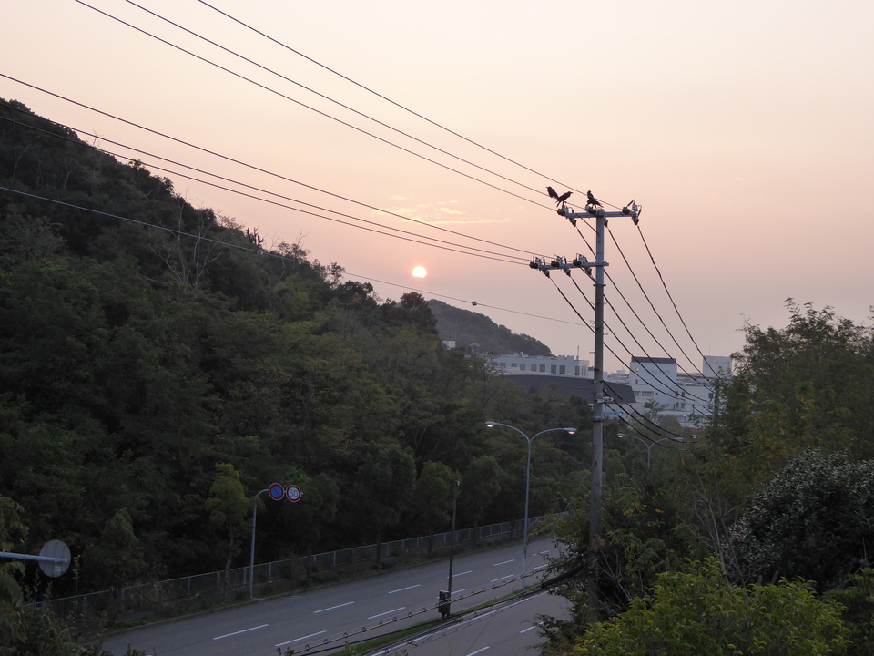 P1040614_mid.jpg