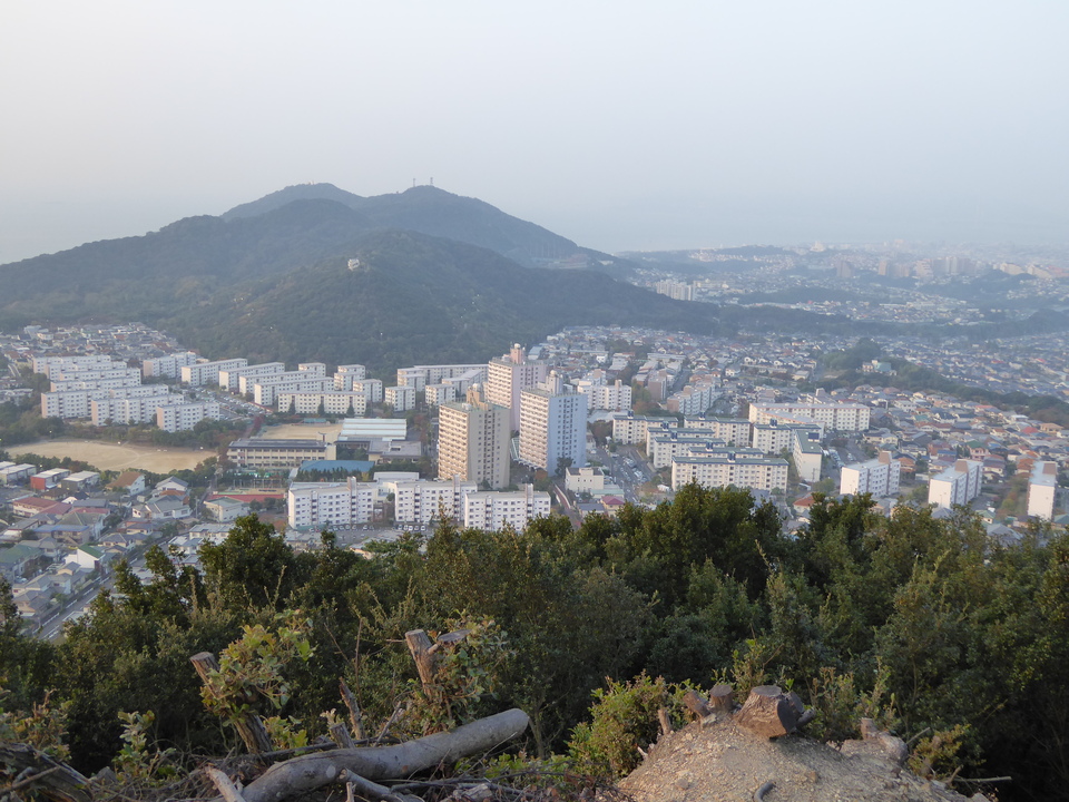 P1040619_mid.jpg