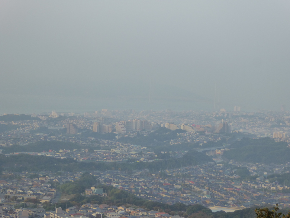 P1040620_mid.jpg