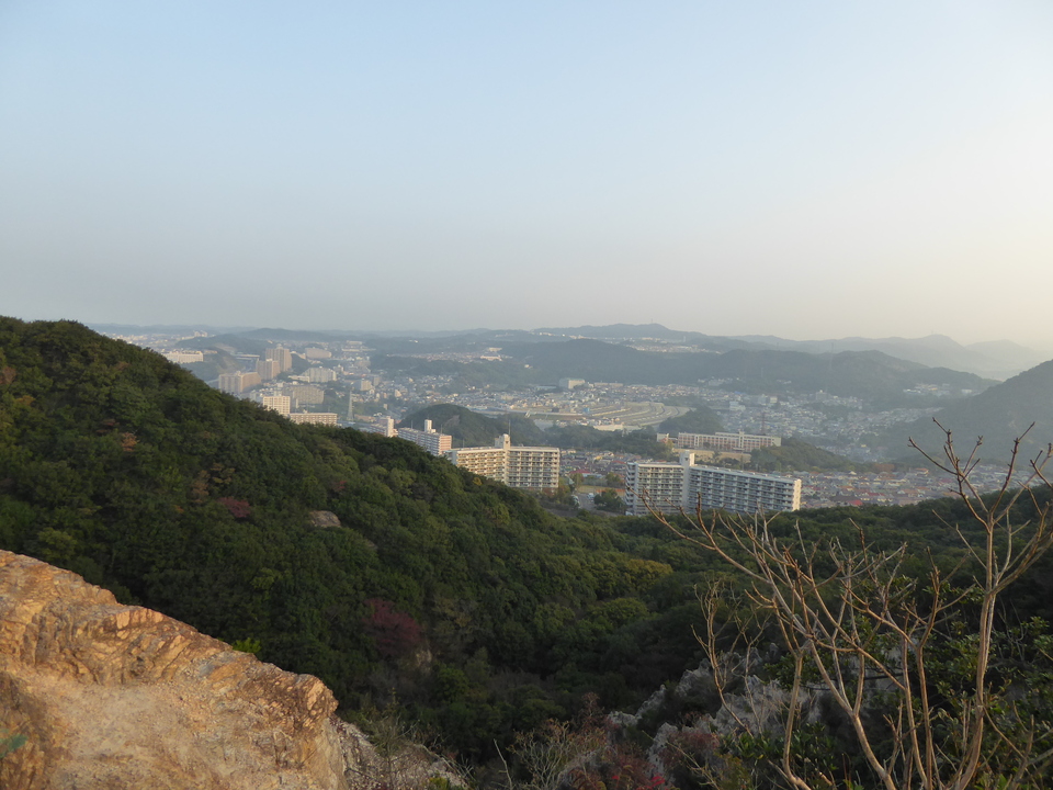 P1040632_mid.jpg