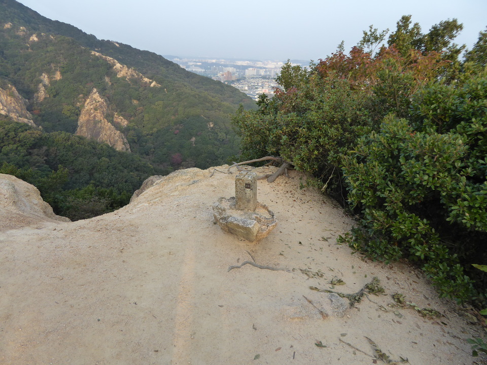 P1040637_mid.jpg