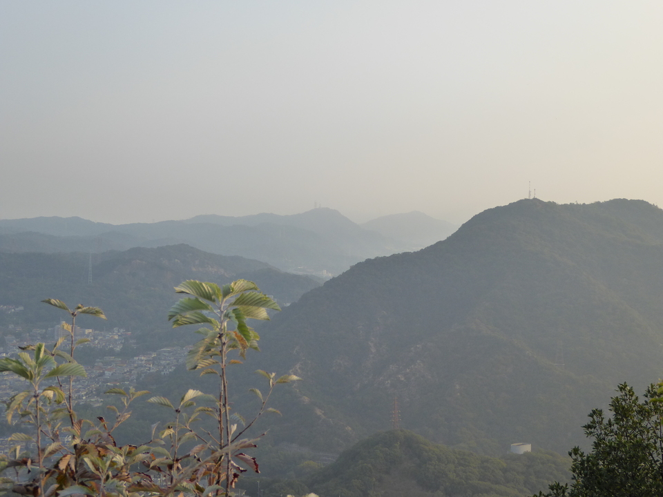 P1040639_mid.jpg