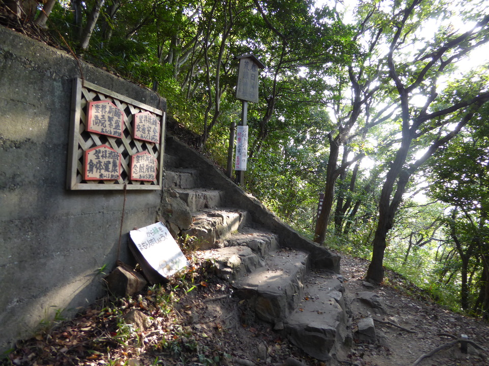 P1040647_mid.jpg