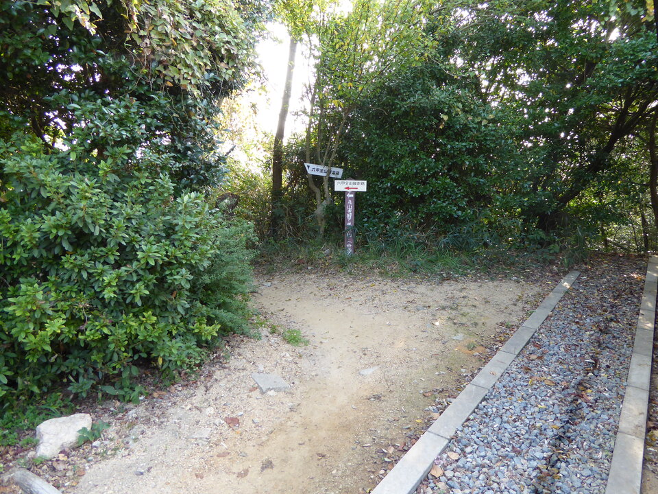 P1040649_mid.jpg