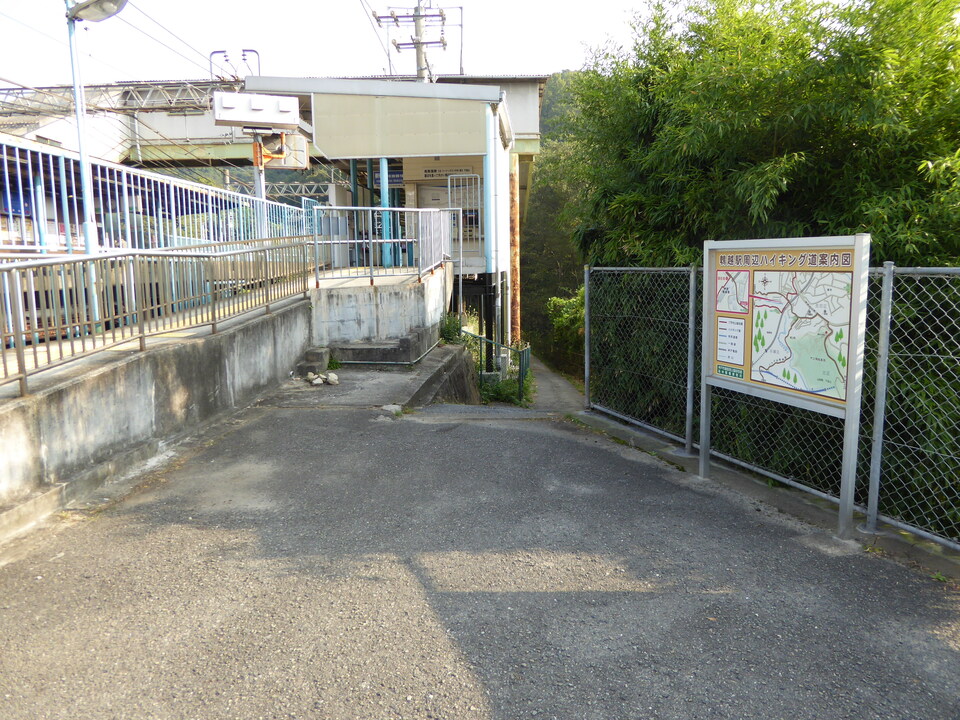 P1040653_mid.jpg