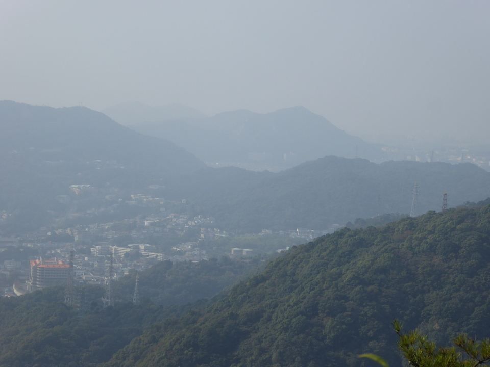 P1040662_mid.jpg