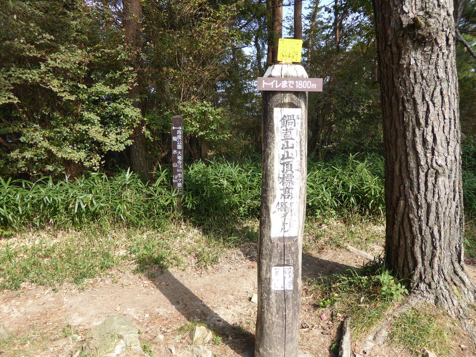 P1040670_mid.jpg