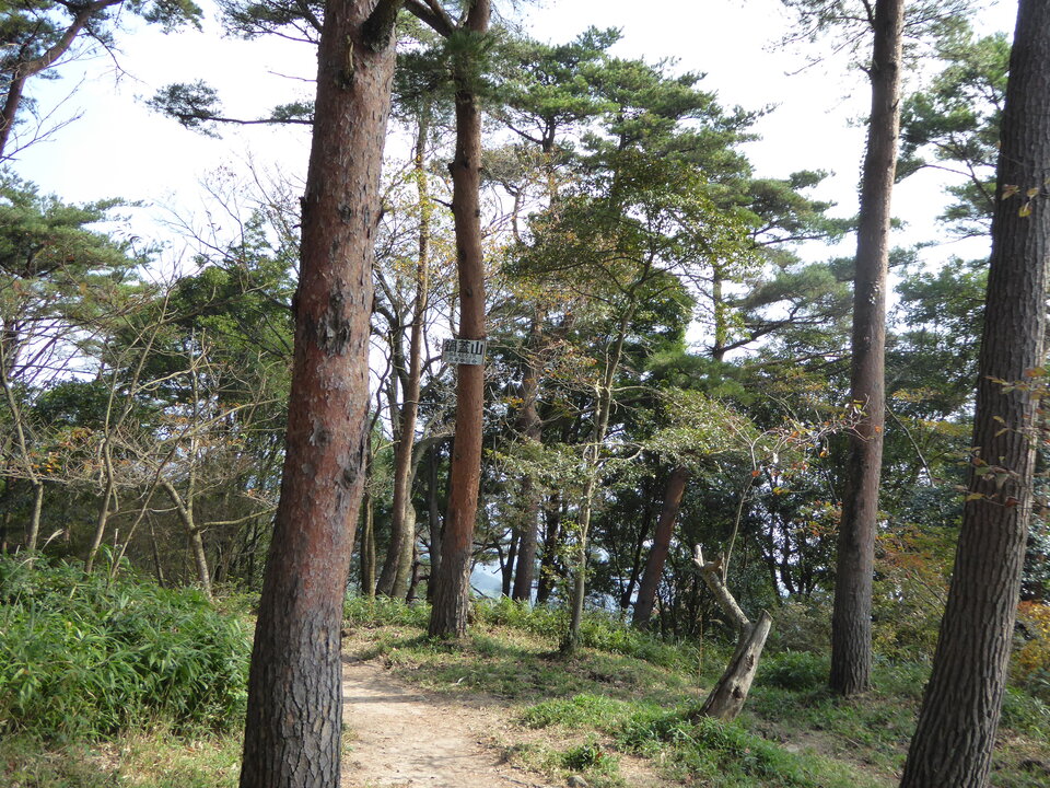 P1040671_mid.jpg