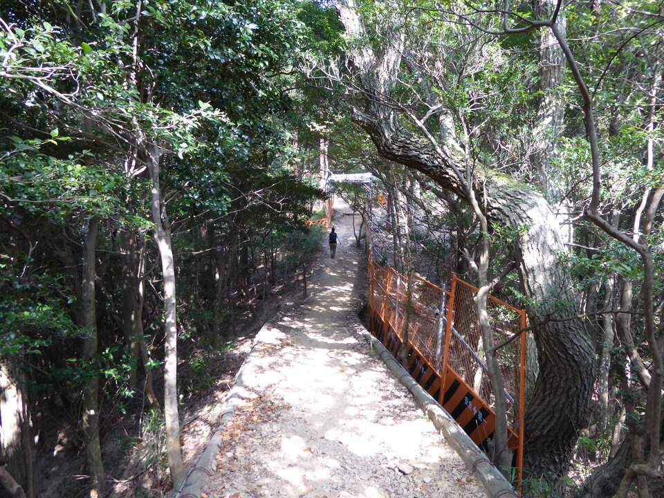 P1040675_mid.jpg
