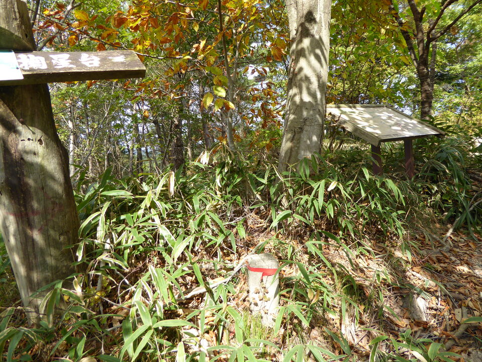 P1040678_mid.jpg