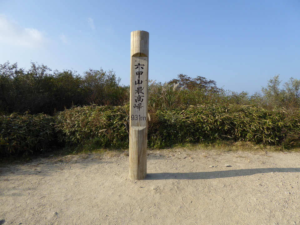 P1040694_mid.jpg