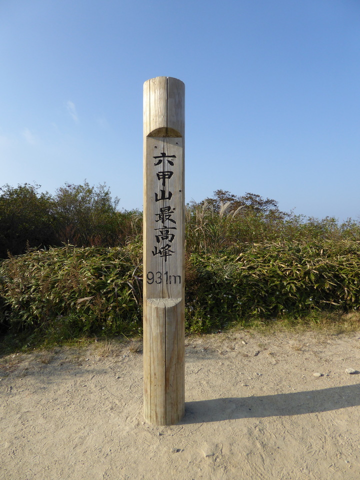 P1040695_mid.jpg