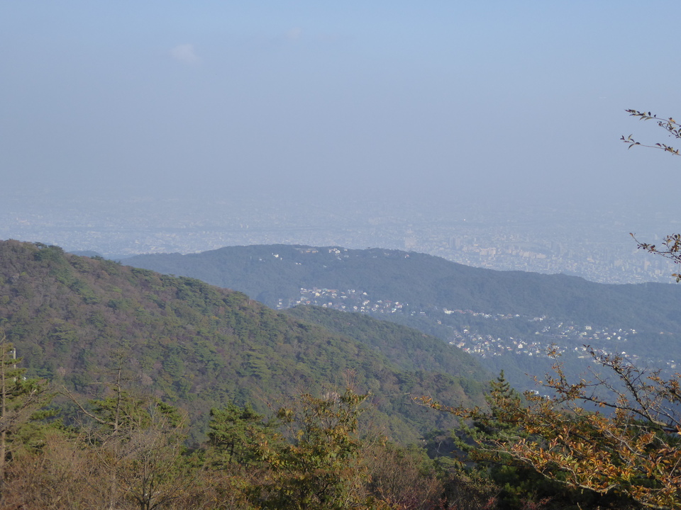 P1040697_mid.jpg