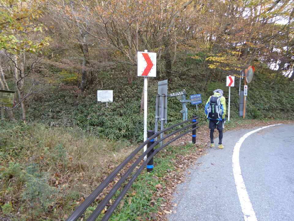 P1040698_mid.jpg