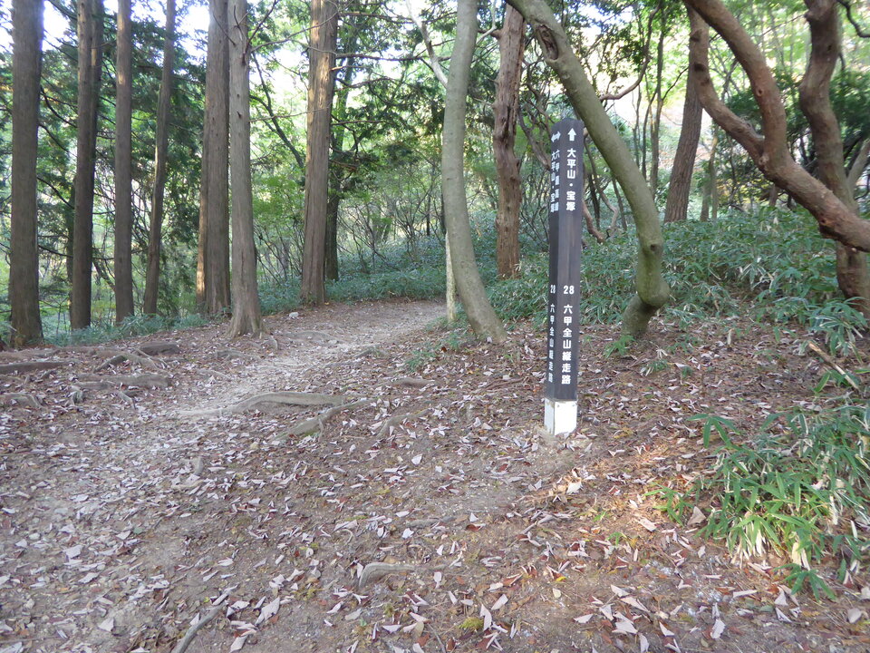 P1040701_mid.jpg