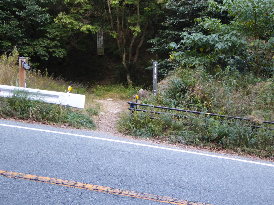P1040706_mid.jpg