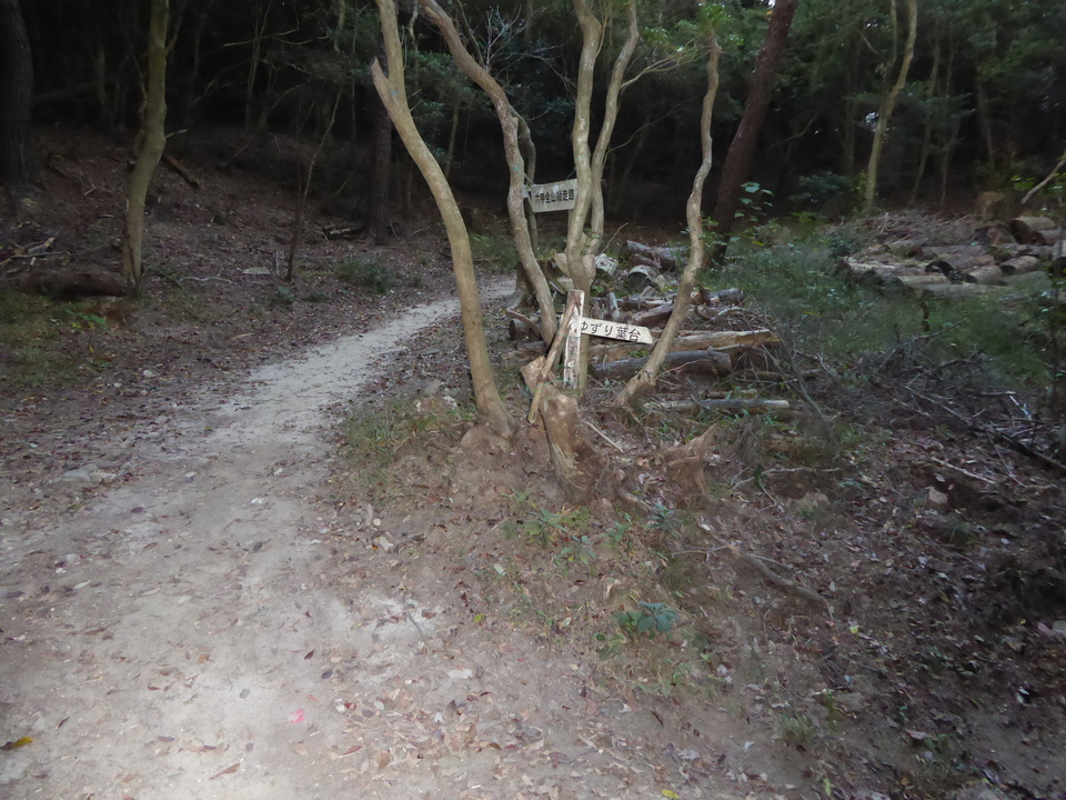 P1040711_mid.jpg